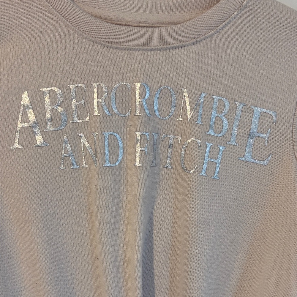 Abercrombie & Fitch Taupe Crewneck with Metallic Silver Logo never worn